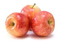 Manzana Gala